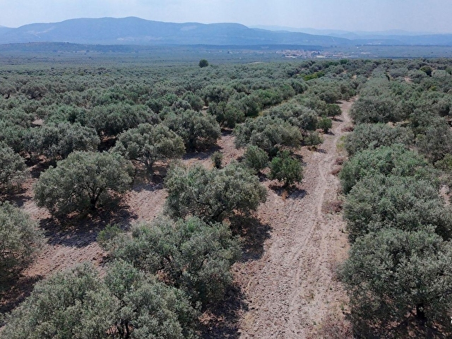 Dereköy Mahallesi 4.320 m2 Tek Tapu Kadastral Yola CepheliArazi - Görsel 23