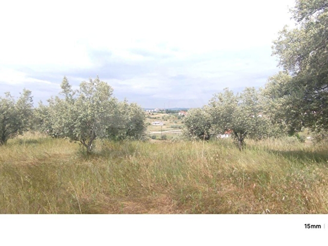 MANİSA KÖPRÜBAŞI MERKEZ(TEMREK)MAHALLESİNDE SATILIK ZEYTİN BAHÇESİ. 14.500 M2 - Görsel 23
