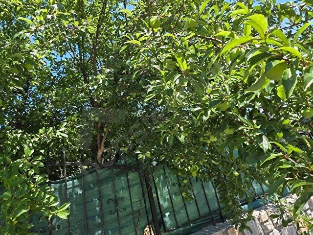 DALAMAN KARAÇALI SATILIK 308 m2 İMARLI ARSA - Görsel 14