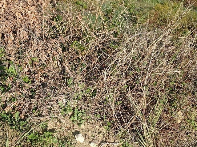 Antakya uzumdalinda satılık arsa - Görsel 2