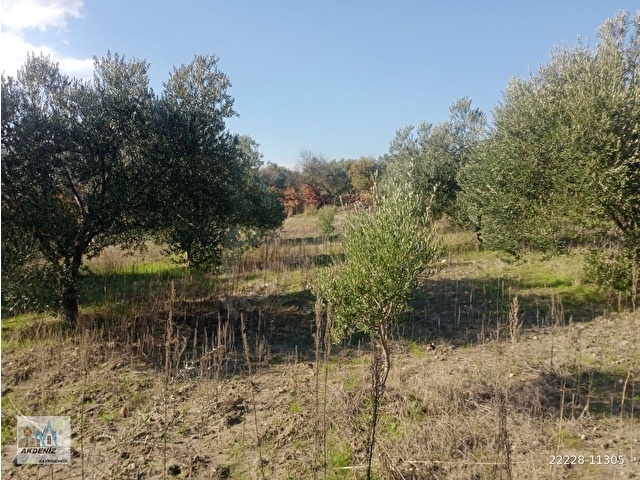Akdeniz Emlaktan Satılık Yunus Emre İlç Osmancalı Mah 6350 m2 Bahçe - Görsel 13