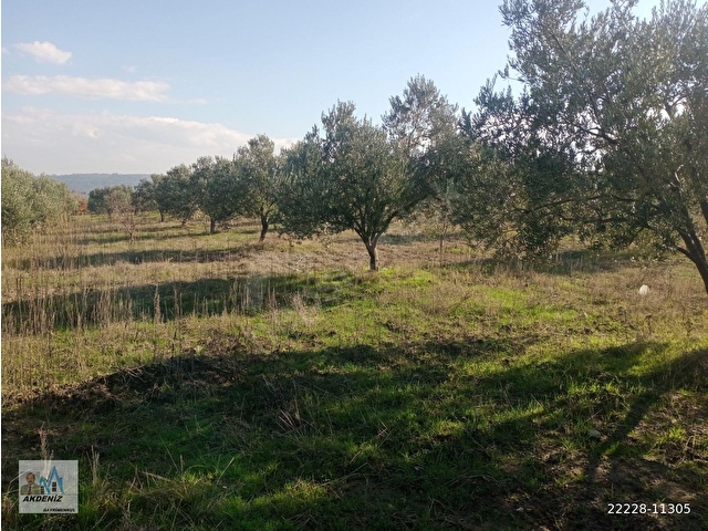 Akdeniz Emlaktan Satılık Yunus Emre İlç Osmancalı Mah 6350 m2 Bahçe - Görsel 21