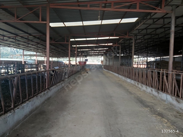 Söke Güllübahçe Satılık