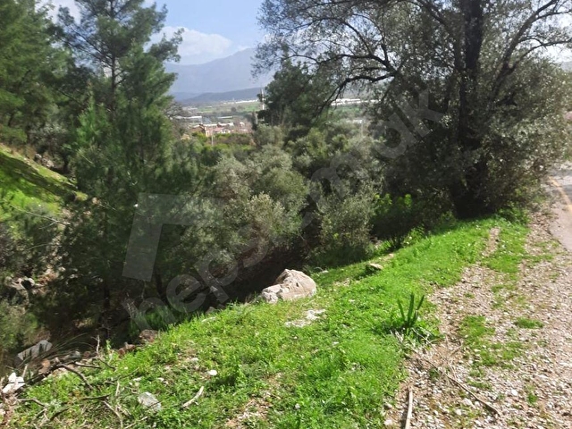 SEYDİKEMER KABAAĞAÇ MH 3 PARSEL TEK FİYAT 840 M2 2250000 - Görsel 10