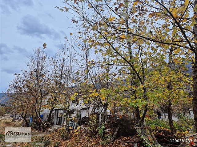 CANKURTARANDA DOĞAYA ÖZEL BİR HOBİ EVİ VE AVLUSU SATILIKTIR - Görsel 5