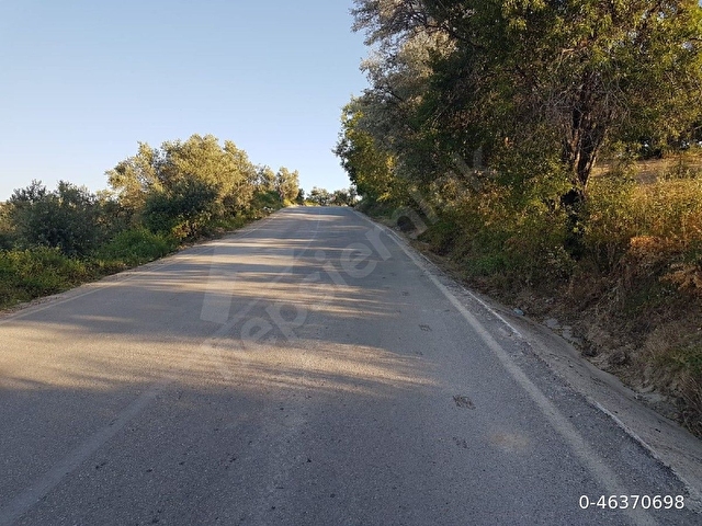 HATAY/ALTINÖZÜ/AKDARIDA,ANA YOLA SIFIR SATILIK VEYA KİRALIK TARLA, (SATIŞ DEĞERİ PİYASAYA AÇIK) - Görsel 4