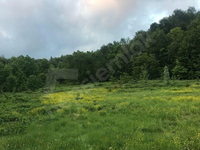 ZONGULDAK BEHCUMA DA  KARADERE KÖYÜNDE 7842 M2 ARSAMIZ SATILIKTIR - Görsel 2