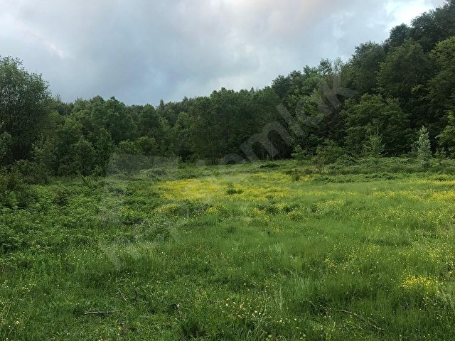 ZONGULDAK BEHCUMA DA  KARADERE KÖYÜNDE 7842 M2 ARSAMIZ SATILIKTIR - Görsel 4