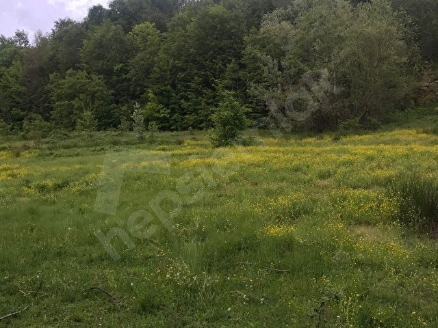 ZONGULDAK BEHCUMA DA  KARADERE KÖYÜNDE 7842 M2 ARSAMIZ SATILIKTIR - Görsel 7
