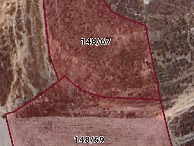 MERAKLISINA 1 İNCİ DERECE ARKEOLOJİK SİT ALANI HÖYÜK GİRİŞİ 5000 M2 TAPULU BURDUR MERKEZ ÇALLICADA
