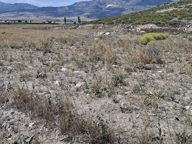 MERAKLISINA 1 İNCİ DERECE ARKEOLOJİK SİT ALANI HÖYÜK GİRİŞİ 5000 M2 TAPULU BURDUR MERKEZ ÇALLICADA - Görsel 4