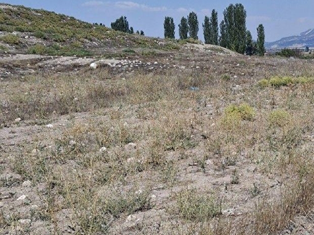 MERAKLISINA 1 İNCİ DERECE ARKEOLOJİK SİT ALANI HÖYÜK GİRİŞİ 5000 M2 TAPULU BURDUR MERKEZ ÇALLICADA - Görsel 7