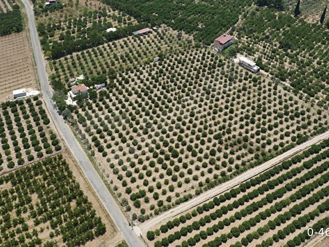 KUŞADASI DAVUTLARDA ÇİFTLİK ARAZİSİ - Görsel 2