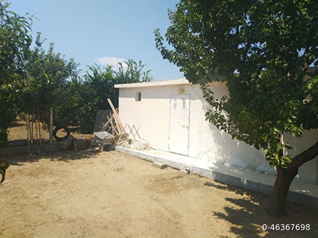 KUŞADASI DAVUTLARDA ÇİFTLİK ARAZİSİ - Görsel 8