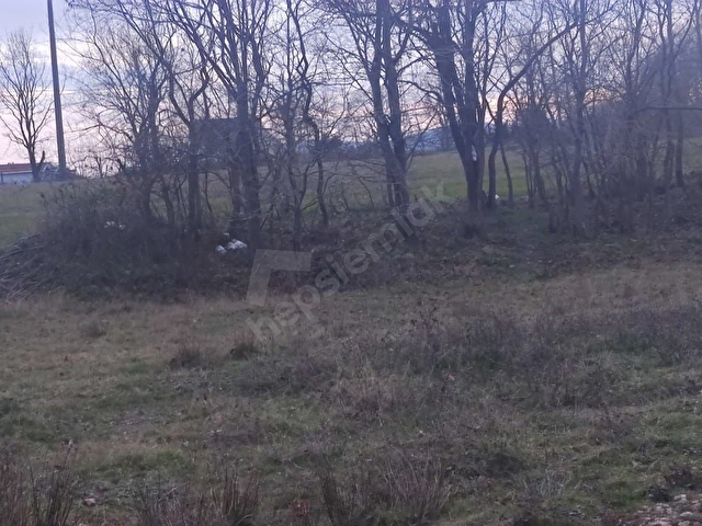 catalca karacakoy de tek tapu satilik 450m2 arsa 119074 18 hurriyet emlak