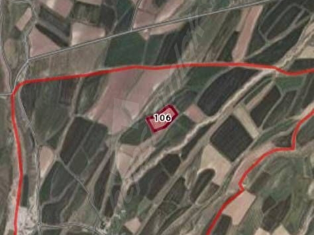 SAHİBİNDEN PALANDÖKEN HANCIĞAZ MAHALLESİNDE TEK TAPU 24.450 METREKARE SATILIK ARAZİ - Görsel 2