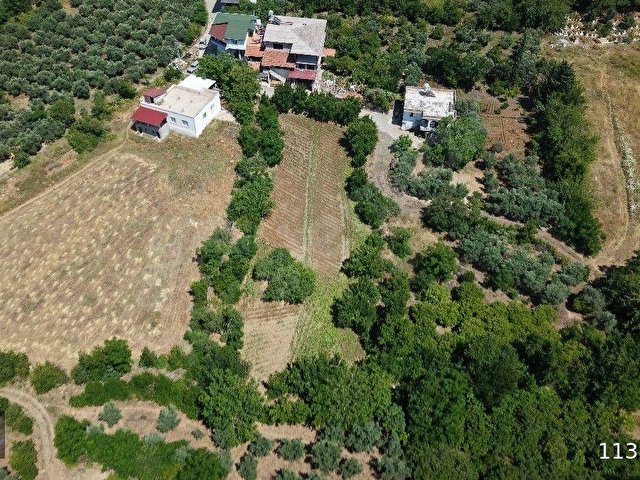 AKGden Arsuz Konacık da Doğa Manzaralı Huzur Dolu Bahçe - Görsel 4