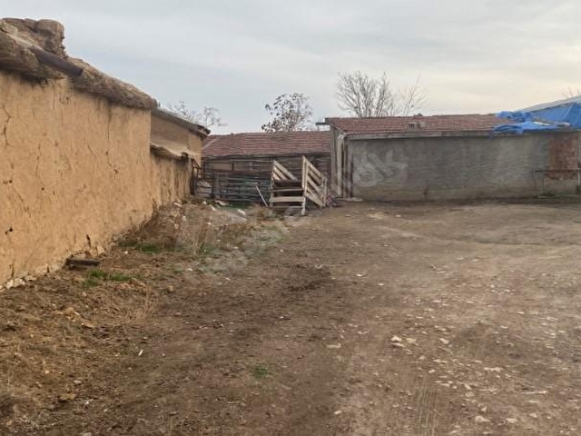 ziraat bankasi ndan atlanti mah 551 m