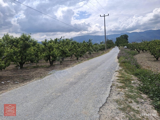 DAVUTLARDA SAHİLE 1.5KM SATILIK 22 DÖNÜM YATIRIMLIK ARAZİ - Görsel 21