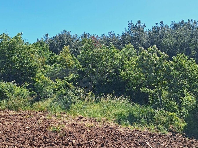 ÇANAKKALE/LAPSEKİ SULUCADA SATILIK FULL BOĞAZ MANZARALI TARLA - Görsel 7