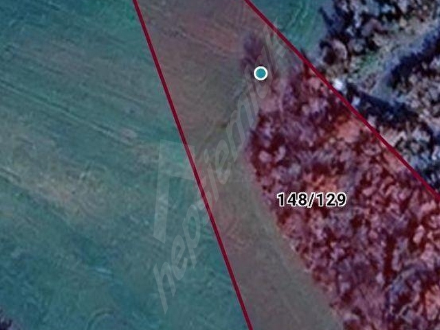 ÇANAKKALE/LAPSEKİ SULUCADA SATILIK FULL BOĞAZ MANZARALI TARLA - Görsel 19