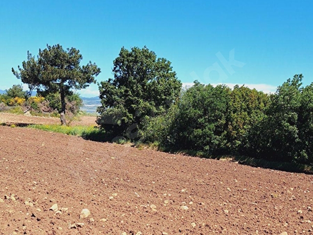 ÇANAKKALE/LAPSEKİ SULUCADA SATILIK FULL BOĞAZ MANZARALI TARLA - Görsel 11