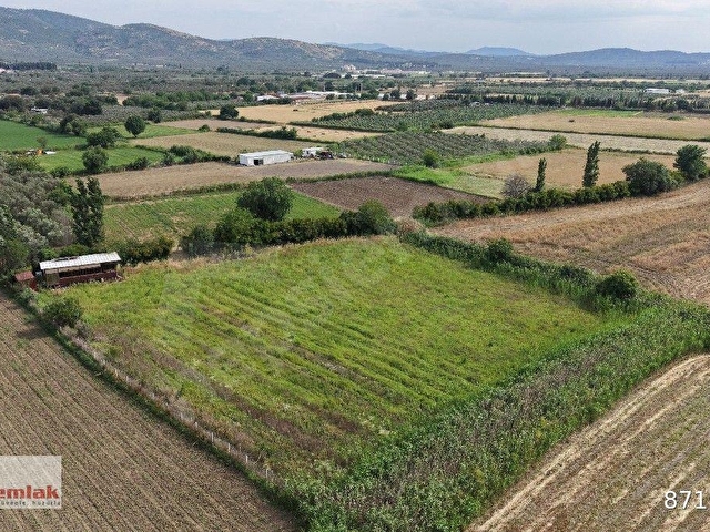 Börezli Ovasında 6.253 M2 Çiftlik Kullanımına Uygun Satılık Tarla - Görsel 3