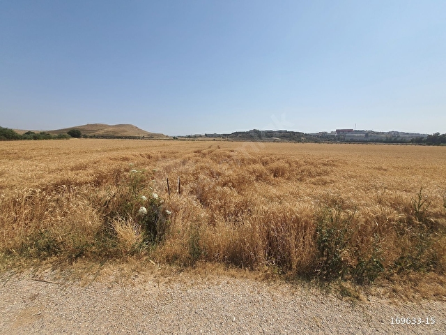 Maltepede 3200m2 Müstakil Parsel Yola Cepheli Tarla - Görsel 2
