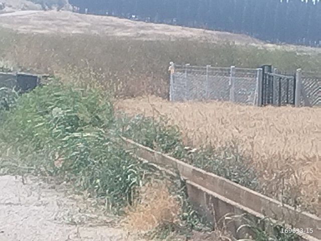 Maltepede 3200m2 Müstakil Parsel Yola Cepheli Tarla - Görsel 14