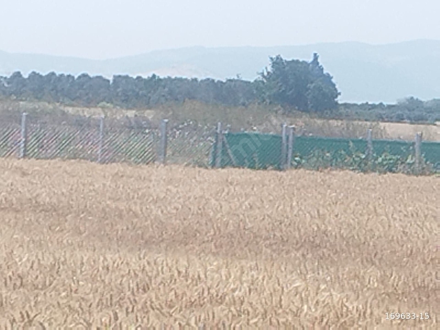 Maltepede 3200m2 Müstakil Parsel Yola Cepheli Tarla - Görsel 6
