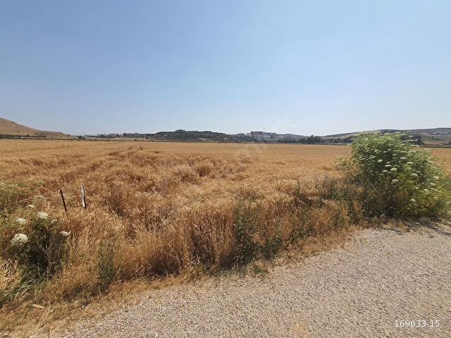Maltepede 3200m2 Müstakil Parsel Yola Cepheli Tarla - Görsel 18