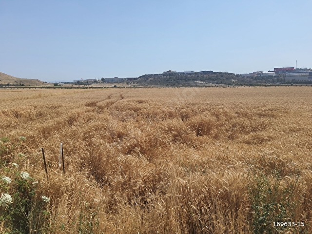 Maltepede 3200m2 Müstakil Parsel Yola Cepheli Tarla - Görsel 25