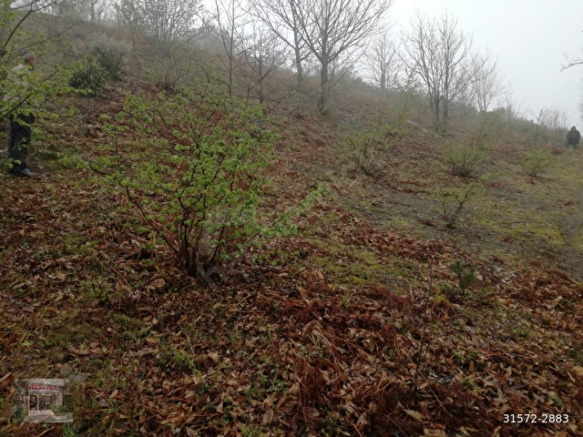 Kastamonu Bozkurt Kocaçam Uluyol,da 865 m2 İmarlı Bahçe Satılık - Görsel 2