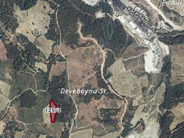 KINIK YAYLAKÖY SATILIK TARLA - Görsel 5