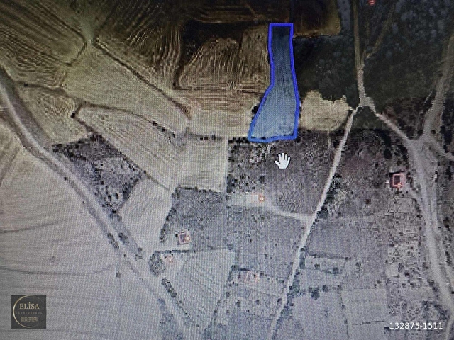 KOCASİNAN SARAYCIKDA 2993M2 TARLA YAKININDA YERLEŞİM MEVCUT - Görsel 9