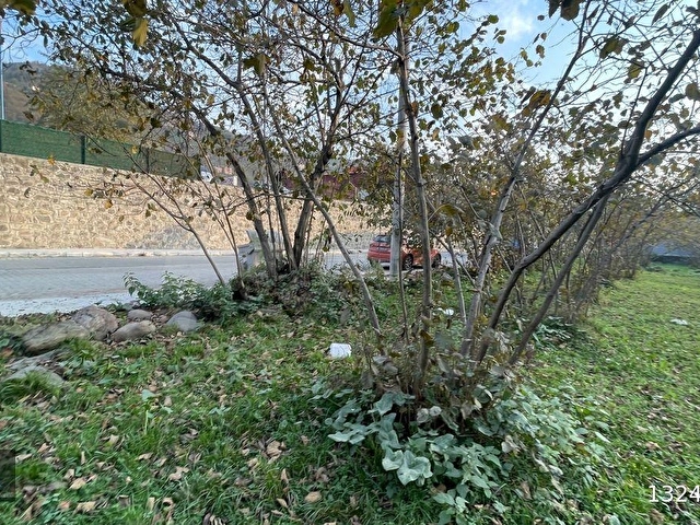Akolukta Yol Kenarı Kiralık Düz Bahçe - Görsel 11
