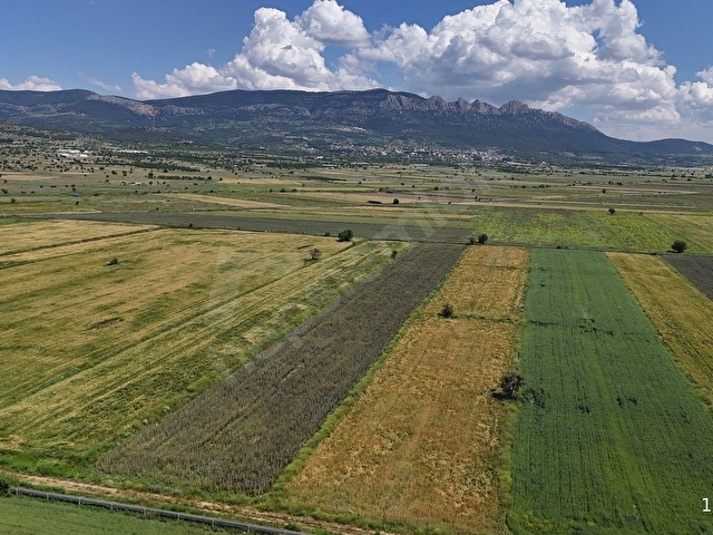 BAKLANDA SATILIK 10328M2 SULAK TARLA - Görsel 4