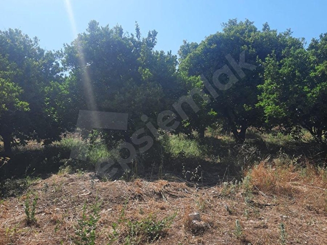 SEYDİKEMER ÖREN MH 1975 M2 ARAZİ - Görsel 26