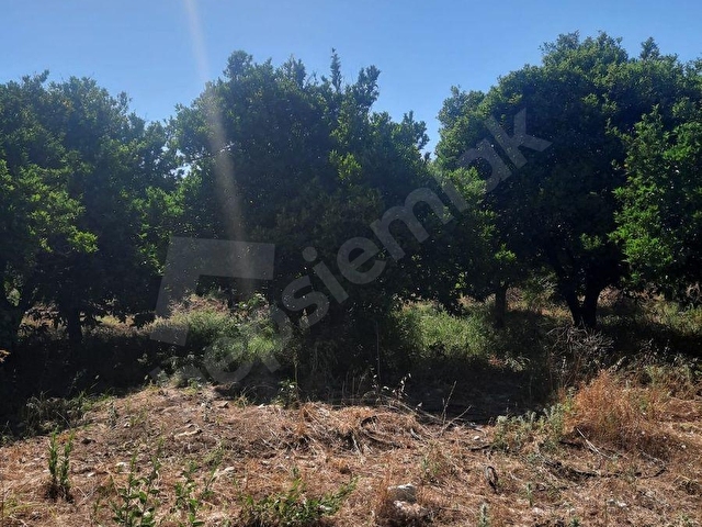 SEYDİKEMER ÖREN MH 1975 M2 ARAZİ - Görsel 30