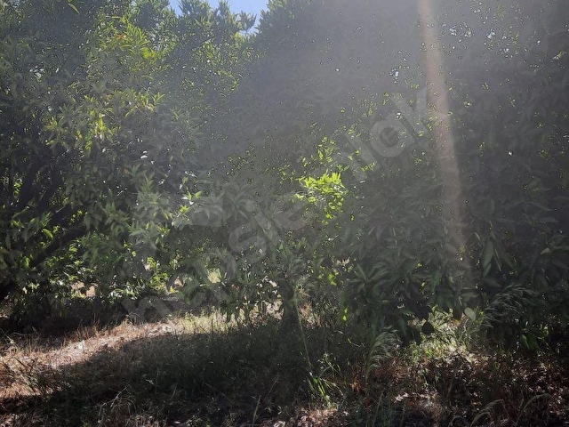 SEYDİKEMER ÖREN MH 1975 M2 ARAZİ - Görsel 22
