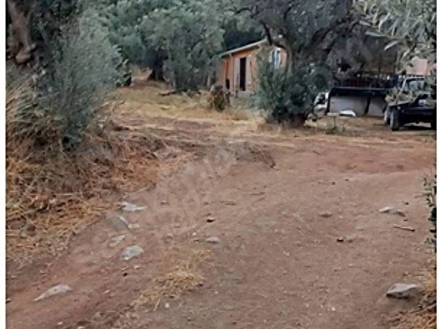 Yalova Armutluda Müstakil Tapulu Kupon Arsa