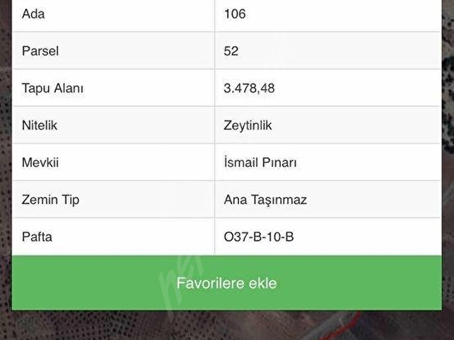 WİNMAXDAN KÜRTÜNCÜDE ZEYTİNLİK - Görsel 2