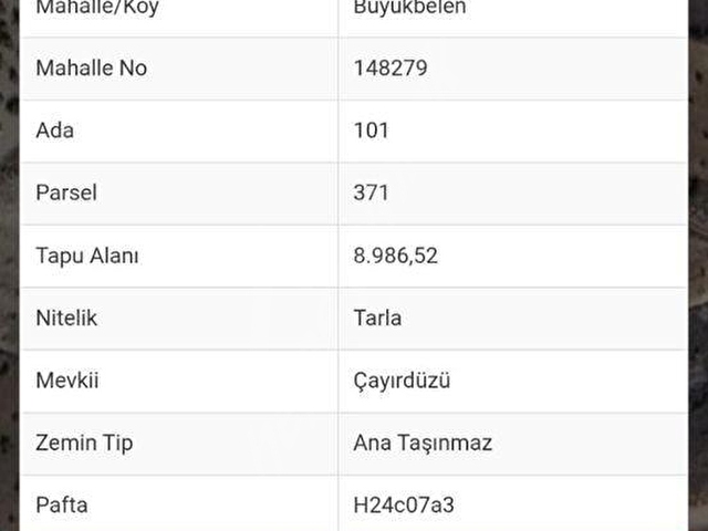 bilecik gölpazarı büyükbelende paraşüt alanının dibinde 9 dönüm cevizlik - Görsel 3