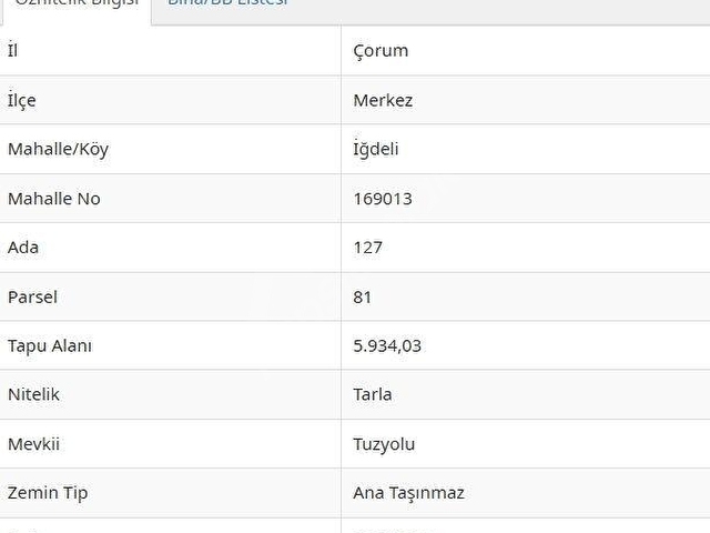 ÇORUM MERKEZ İĞDELİDE 5.934M² TARLAMIZ SATILIKTIR - Görsel 4
