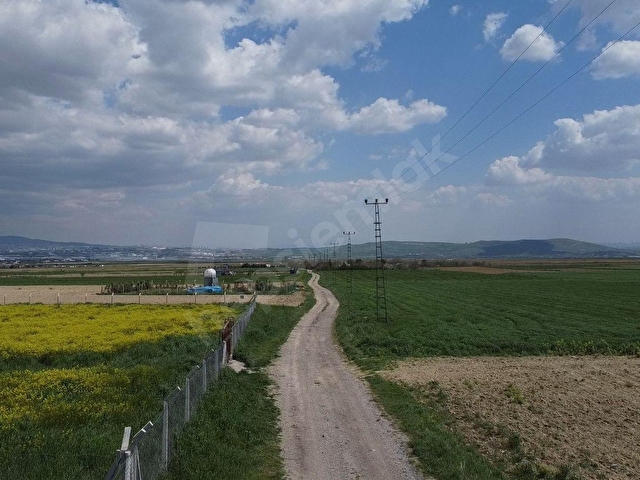 ALKANDAN TEK TAPU, YOLU MEVCUT TARLA