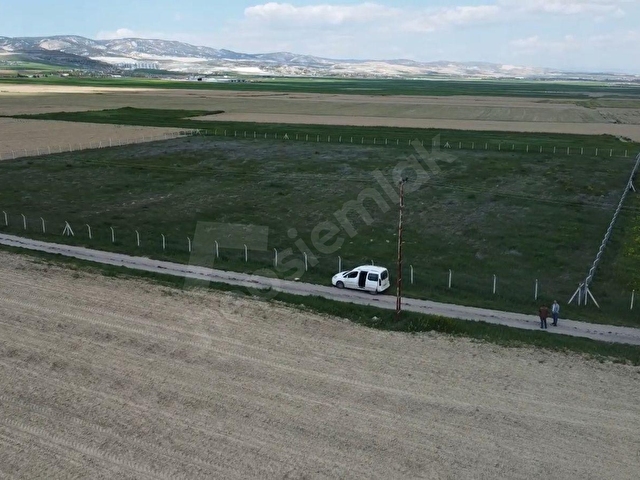 ALKANDAN TEK TAPU, YOLU MEVCUT TARLA - Görsel 7