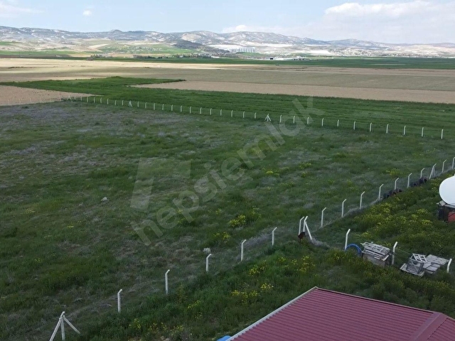 ALKANDAN TEK TAPU, YOLU MEVCUT TARLA - Görsel 2