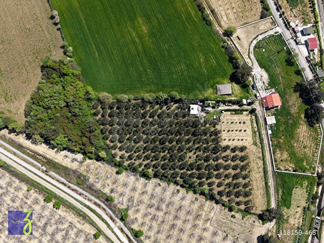 ÇANAKKALE MERKEZ YAPILDAKTA BOĞAZ MANZARALI SATILIK ÇİFTLİK - Görsel 10