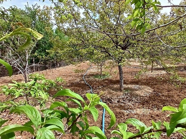 Mollakendide Satılık Bahçeli Ev - Görsel 24