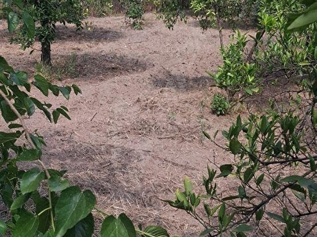 Aydın Kuyucak Merkez Kurtuluş Mah.Konut imarlı arsa - Görsel 17